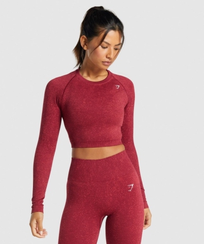 Gymshark Adapt Fleck Seamless Crop Top Tişört Kadın Bordo | 978-CLTFXP