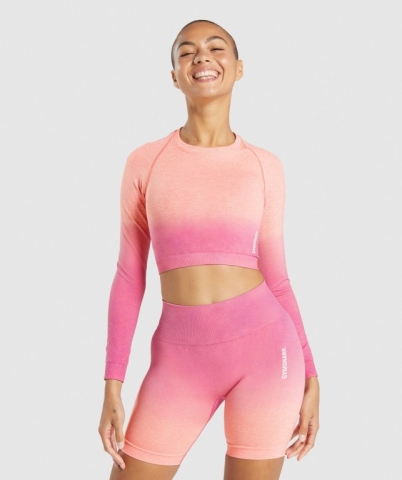 Gymshark Adapt Ombre Seamless Crop Top Tişörtü Kadın Turuncu Pembe | 529-IAUJHC