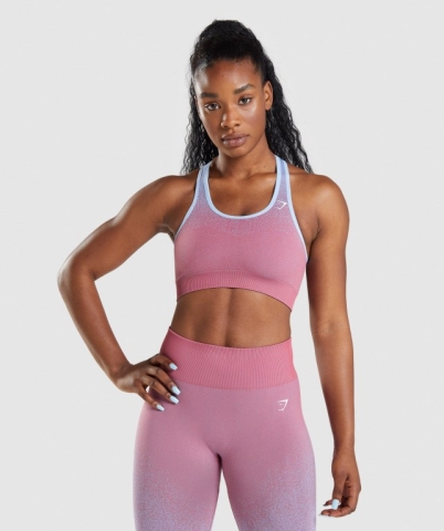 Gymshark Adapt Ombre Seamless Spor Sütyeni Kadın Pembe Pembe Açık Mavi | 071-DRBZCL