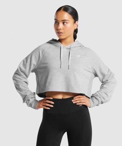 Gymshark Antrenman Cropped Kapüşonlu Sweatshirt Kadın Açık Gri | 839-QWSAGL