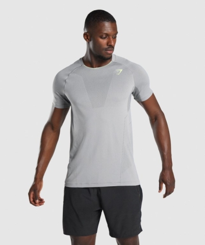 Gymshark Apex Seamless Tişört Erkek Gri | 653-DPHQFM