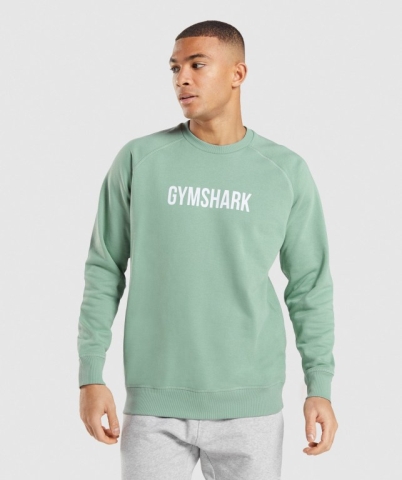 Gymshark Apollo Crew Kapüşonlu Sweatshirt Erkek Mavi | 480-QADRPK