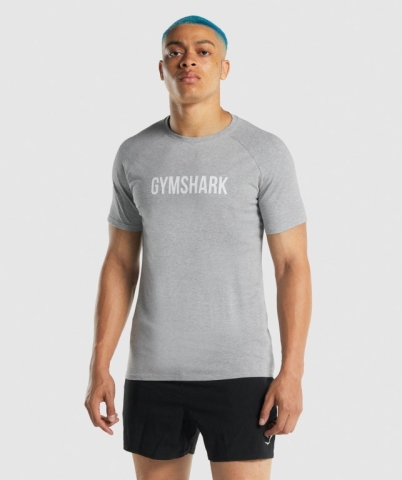 Gymshark Apollo Tişört Erkek Açık Gri | 240-HXESOZ