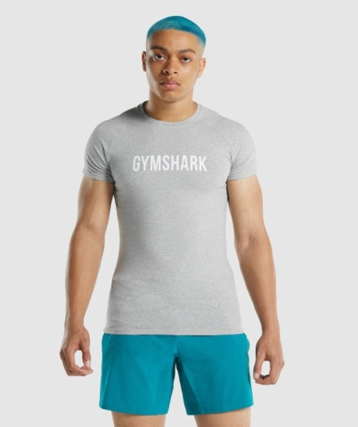 Gymshark Apollo Tişört Erkek Açık Gri | 319-CXJEAF