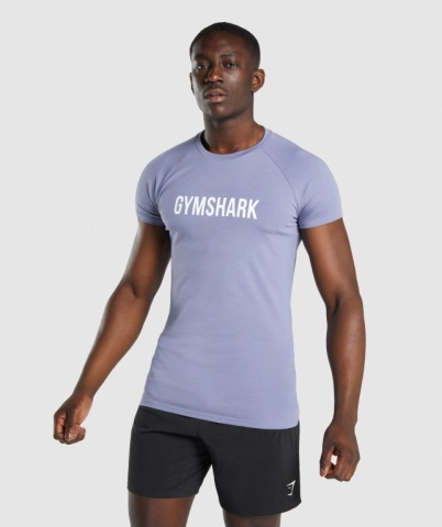 Gymshark Apollo Tişört Erkek Açık Mavi | 270-IPUYVN