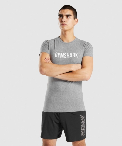 Gymshark Apollo Tişört Erkek Gri | 159-WSPERC