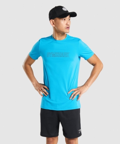 Gymshark Arrival Graphic Tişört Erkek Açık Mavi | 714-TXPCUY