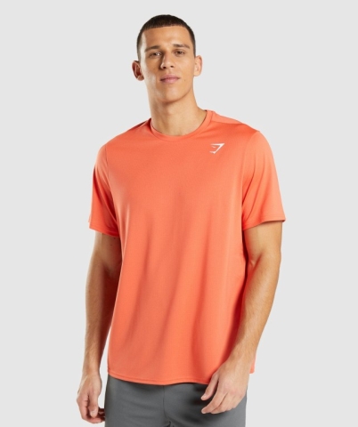 Gymshark Arrival Regular Fit Tişört Erkek Turuncu | 243-XTGKSV