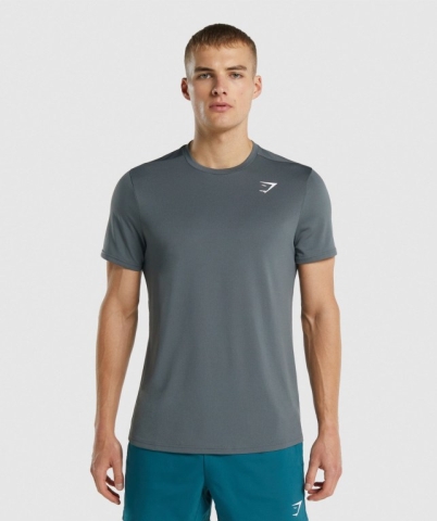 Gymshark Arrival Regular Fit Tişört Erkek Gri | 263-UMIKJR