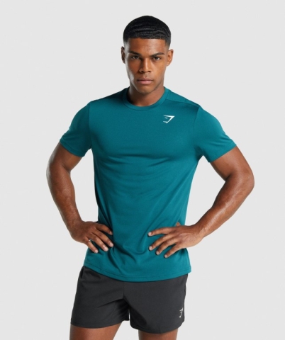 Gymshark Arrival Regular Fit Tişört Erkek Turkuaz | 341-VBSJFD