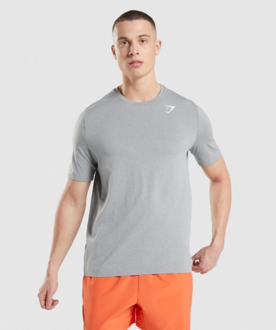 Gymshark Arrival Seamless Tişört Erkek Gri | 639-ARYWZI