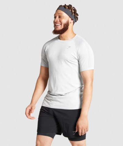 Gymshark Aspect Hafif Seamless Tişört Erkek Açık Gri | 942-HYCILF