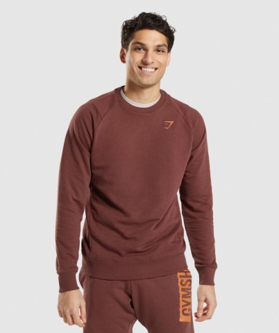 Gymshark Bold Crew Kapüşonlu Sweatshirt Erkek Pembe Kahverengi | 342-HMVQSR