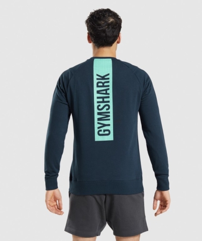 Gymshark Bold Crew Kapüşonlu Sweatshirt Erkek Lacivert | 437-QURVCT