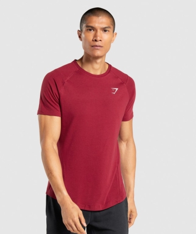 Gymshark Bold Tişört Erkek Bordo | 578-GWQNLV