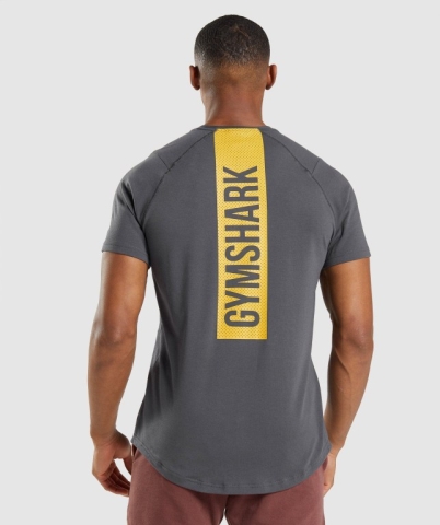 Gymshark Bold Tişört Erkek Siyah Gri | 958-WZCPIH