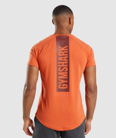 Gymshark Bold Tişört Erkek Turuncu | 096-PYZSRA