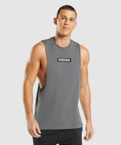 Gymshark Central Drop Arm Atlet Erkek Gri | 796-JASFDN