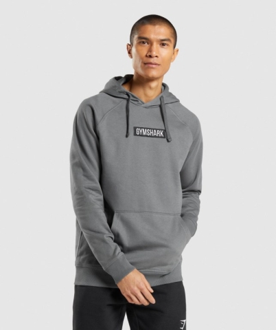 Gymshark Central Kapüşonlu Sweatshirt Erkek Gri | 362-KUJBPZ