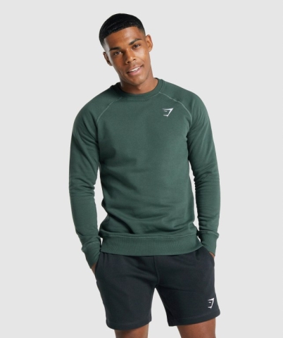 Gymshark Crest Sweatshirt Kapüşonlu Sweatshirt Erkek Koyu Yeşil | 820-PSRNYX