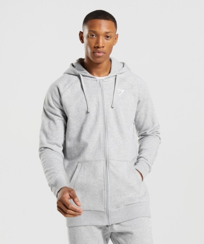 Gymshark Crest Zip Up Kapüşonlu Sweatshirt Erkek Açık Gri | 624-TJVICO