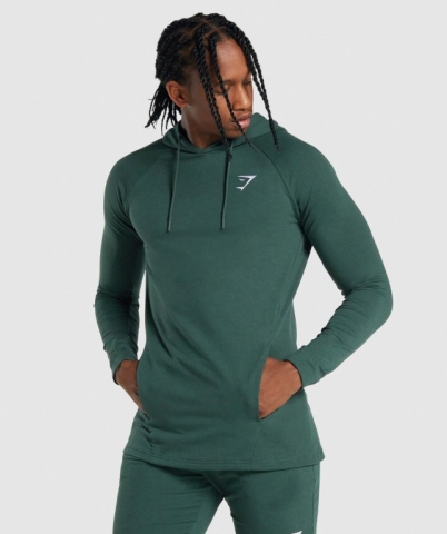 Gymshark Critical 2.0 Kapüşonlu Sweatshirt Erkek Koyu Yeşil | 862-ONFLQM