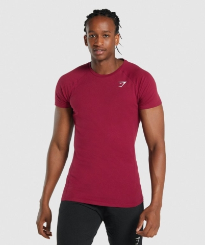 Gymshark Critical 2.0 Tişört Erkek Bordo | 420-WBDIAL