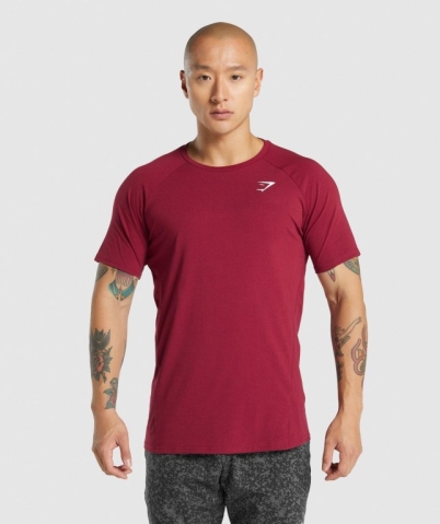 Gymshark Critical 2.0 Tişört Erkek Bordo | 502-BTDUYK