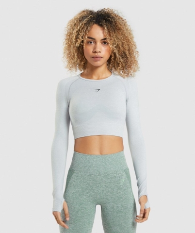 Gymshark Flex Sports Crop Top Tişört Kadın Açık Gri | 194-UBVGKN