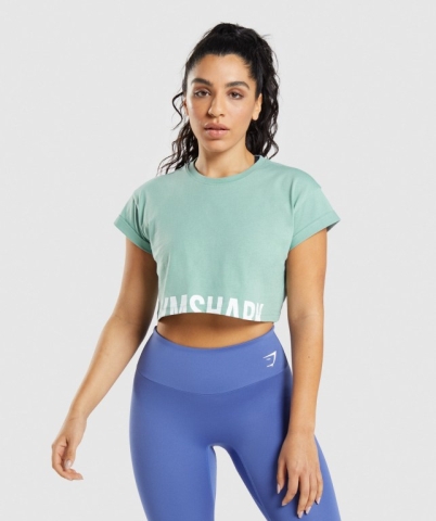 Gymshark Fraction Crop Top Tişört Kadın Mavi | 560-MKGJXF