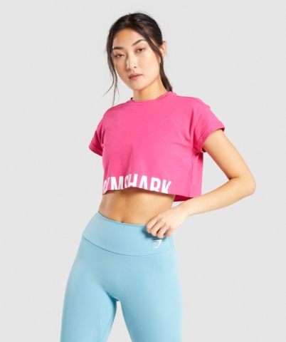 Gymshark Fraction Crop Top Tişörtü Kadın Pembe | 673-CJGKFD