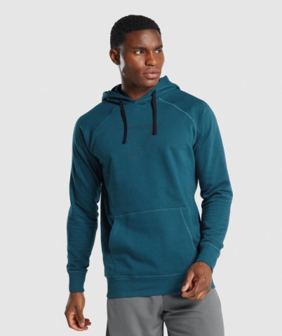 Gymshark Sharkhead Infill Kapüşonlu Sweatshirt Erkek Turkuaz | 137-EXFCTH