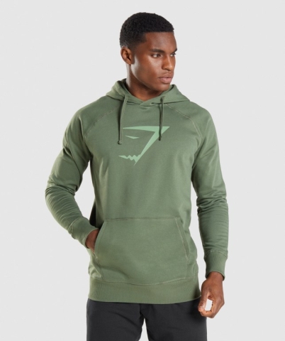 Gymshark Sharkhead Infill Kapüşonlu Sweatshirt Erkek Yeşil | 236-CAUMRX