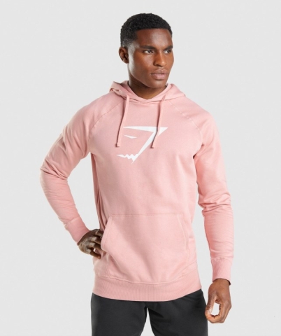 Gymshark Sharkhead Infill Kapüşonlu Sweatshirt Erkek Pembe | 456-GABUKX