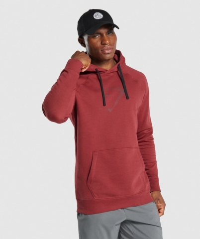 Gymshark Sharkhead Infill Kapüşonlu Sweatshirt Erkek Bordo | 931-BTRHXK