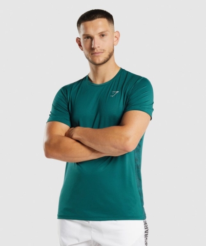 Gymshark Spor Tişört Erkek Turkuaz | 768-UVEGFQ