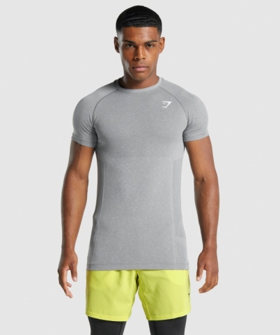 Gymshark Vital Light Seamless Tişört Erkek Gri | 269-SDBNAU