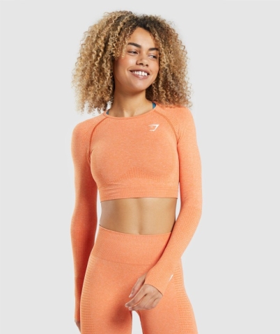 Gymshark Vital Seamless 2.0 Crop Top Tişört Kadın Kayısı Rengi Turuncu | 083-FDXHWK