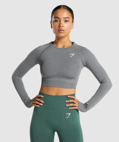 Gymshark Vital Seamless 2.0 Crop Top Tişört Kadın Gri | 749-EAJFSZ