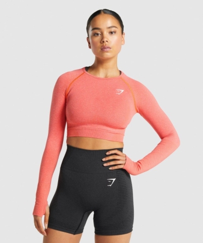 Gymshark Vital Seamless 2.0 Crop Top Tişörtü Kadın Turuncu | 861-VCBLSZ