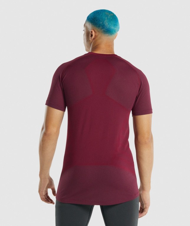 Gymshark 315 Tişört Erkek Bordo | 854-ENTWBX