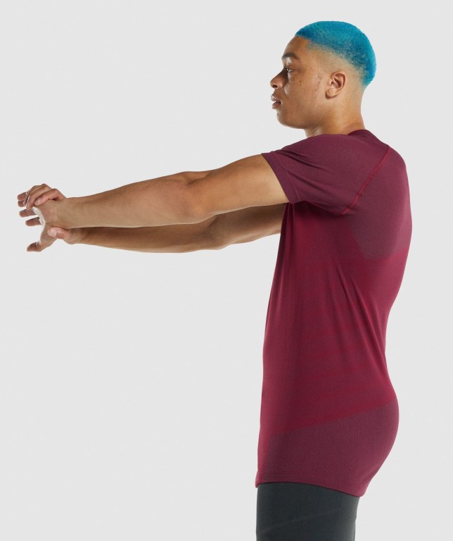 Gymshark 315 Tişört Erkek Bordo | 854-ENTWBX