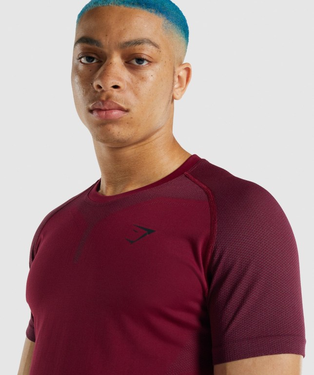 Gymshark 315 Tişört Erkek Bordo | 854-ENTWBX