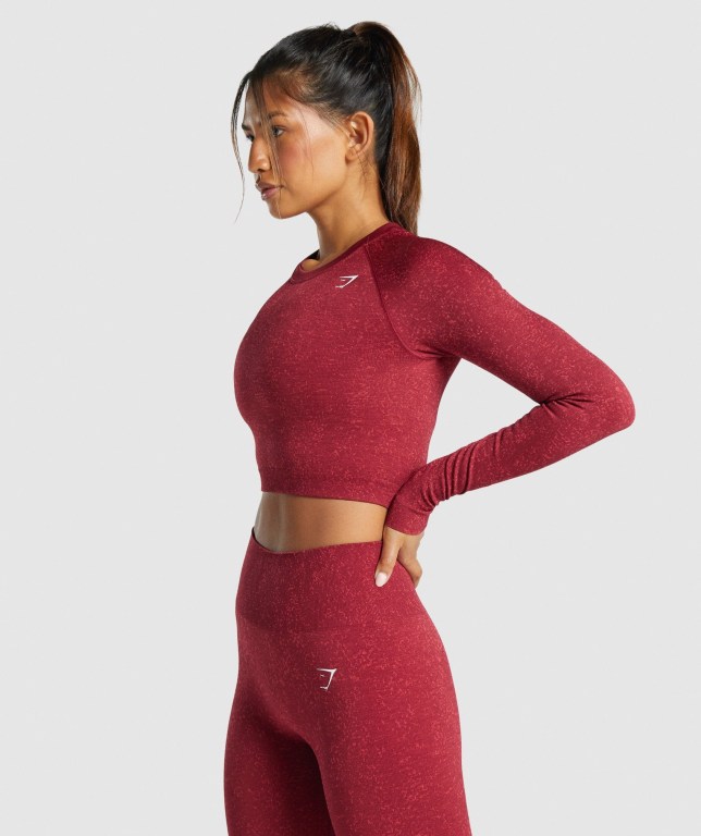 Gymshark Adapt Fleck Seamless Crop Top Tişört Kadın Bordo | 402-JYPIDM