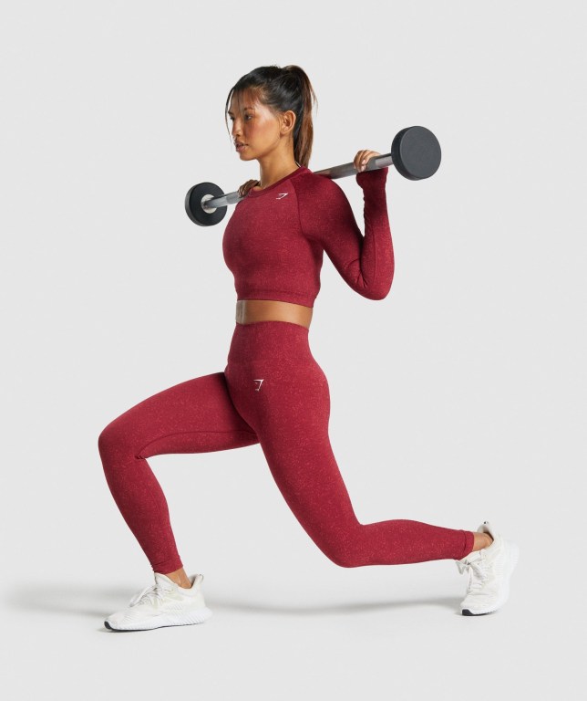 Gymshark Adapt Fleck Seamless Crop Top Tişört Kadın Bordo | 402-JYPIDM