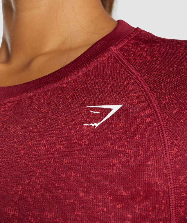 Gymshark Adapt Fleck Seamless Crop Top Tişört Kadın Bordo | 402-JYPIDM