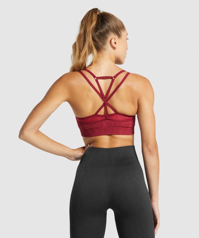 Gymshark Adapt Fleck Seamless Spor Sütyeni Kadın Bordo | 749-CNEVTO