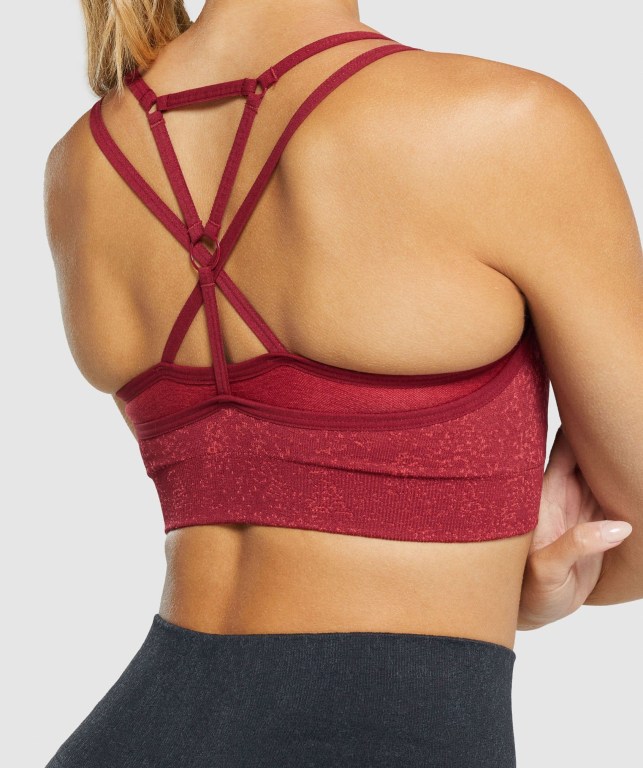 Gymshark Adapt Fleck Seamless Spor Sütyeni Kadın Bordo | 749-CNEVTO