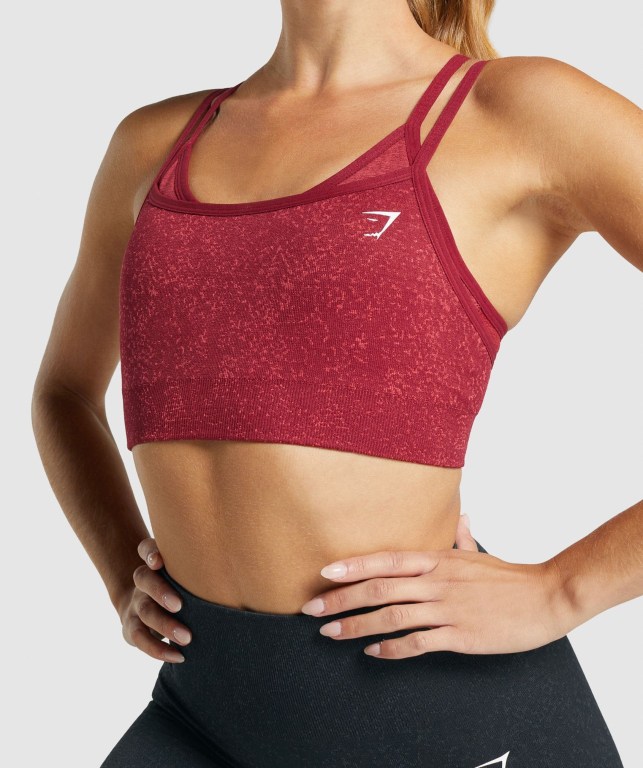 Gymshark Adapt Fleck Seamless Spor Sütyeni Kadın Bordo | 749-CNEVTO