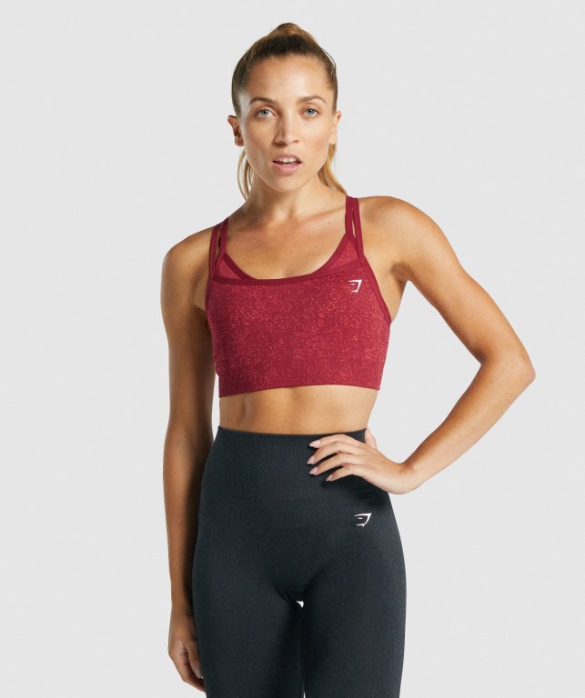 Gymshark Adapt Fleck Seamless Spor Sütyeni Kadın Bordo | 749-CNEVTO